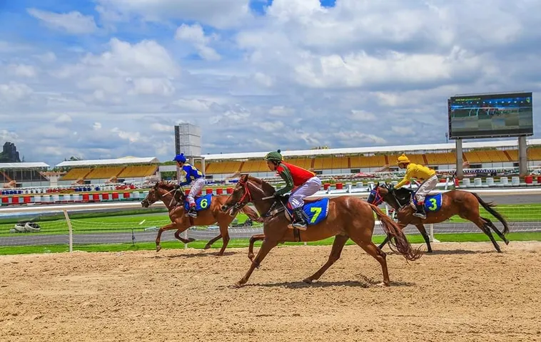 Khám Phá Cá Cược Đua Ngựa V9Bet Từ A Tới Z Cho Người Mới 2 Khám Phá Cá Cược Đua Ngựa V9Bet Từ A Tới Z Cho Người Mới