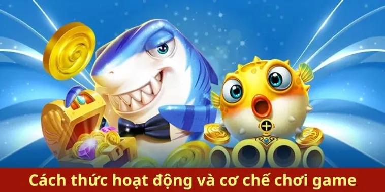 Tuyệt Chiêu Chơi Bắn Cá Royal Fishing V9Bet Thắng Lớn Mỗi Ngày 1 Tuyệt Chiêu Chơi Bắn Cá Royal Fishing V9Bet Thắng Lớn Mỗi Ngày
