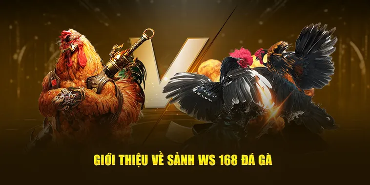 Bí Kíp Chơi Đá Gà WS168 Tại V9Bet Thắng Lớn Từ Cao Thủ 2 Bí Kíp Chơi Đá Gà WS168 Tại V9Bet Thắng Lớn Từ Cao Thủ