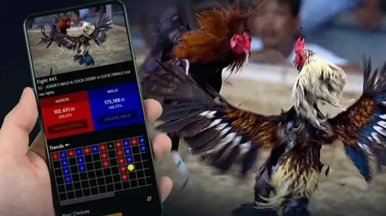 Bí Kíp Soi Kèo Đá Gà V9Bet Chắc Thắng Từ Các Sư Kê Lão Luyện 1 Bí Kíp Soi Kèo Đá Gà V9Bet Chắc Thắng Từ Các Sư Kê Lão Luyện