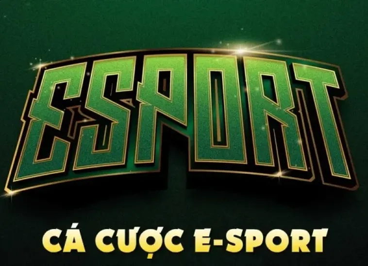 Hướng Dẫn Cá Cược Thể Thao Điện Tử V9Bet Chi Tiết Cho Newbie 2 Hướng Dẫn Cá Cược Thể Thao Điện Tử V9Bet Chi Tiết Cho Newbie