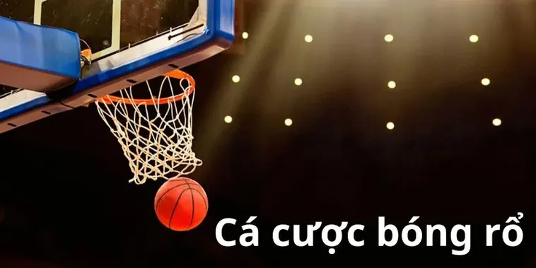 Tìm Hiểu Cá Cược Bóng Rổ V9Bet Hé Lộ Mẹo Cược NBA 1 Tìm Hiểu Cá Cược Bóng Rổ V9Bet Hé Lộ Mẹo Cược NBA